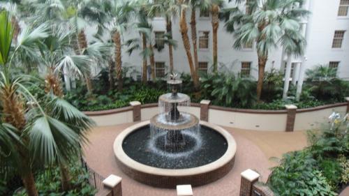DSC01178