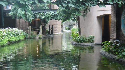 DSC01184