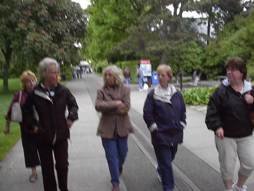 chips camera 051